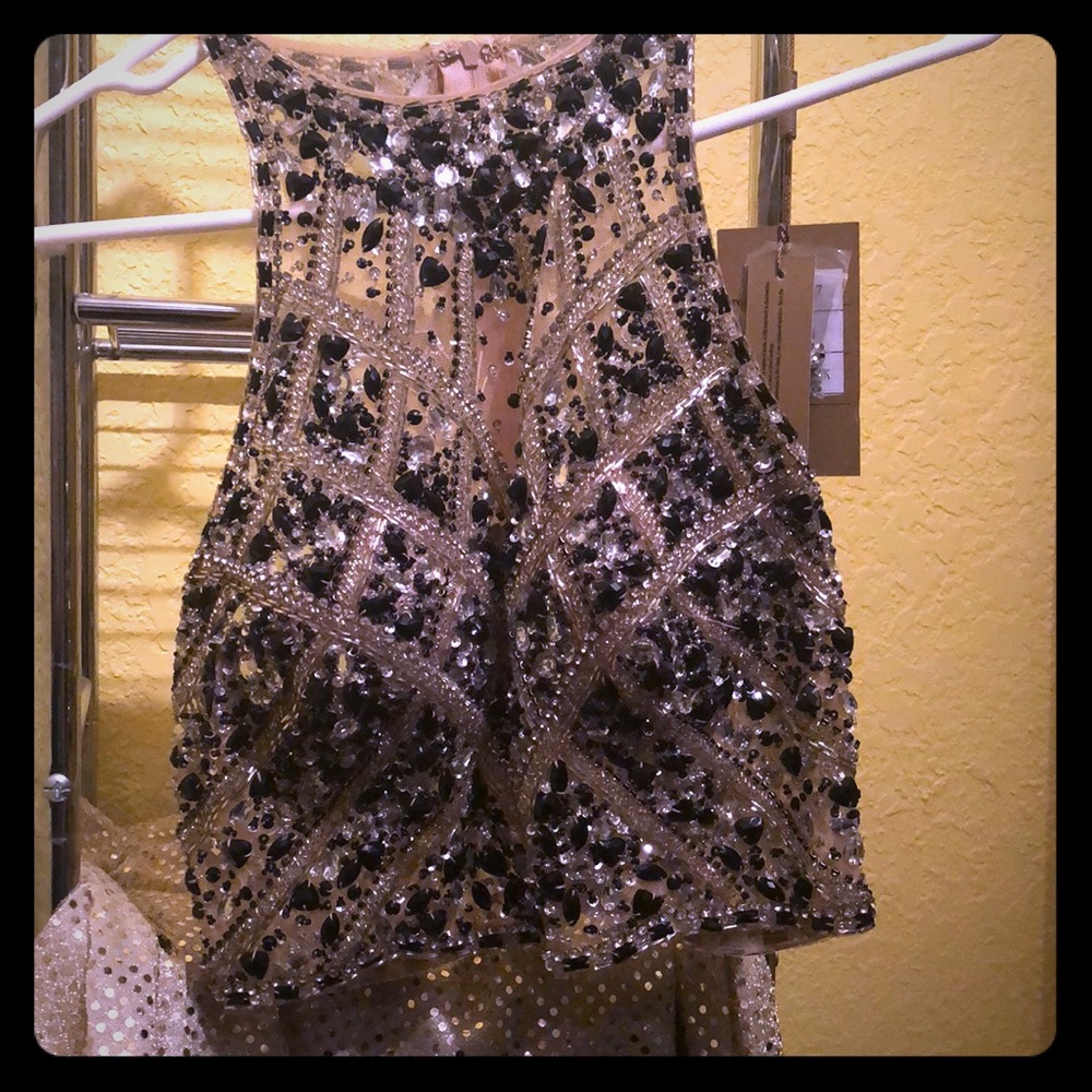 Prom/homecoming dress